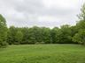 View of grassy field