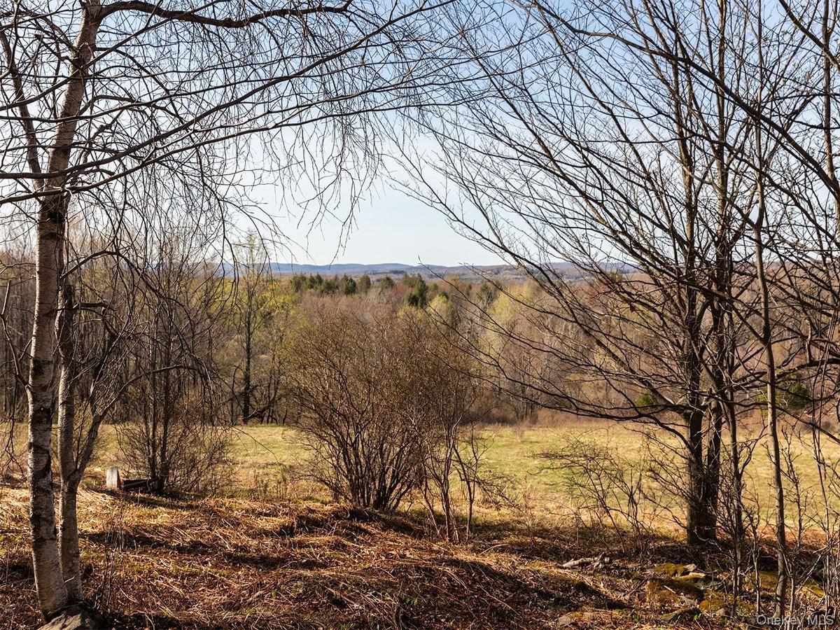 Horizon View