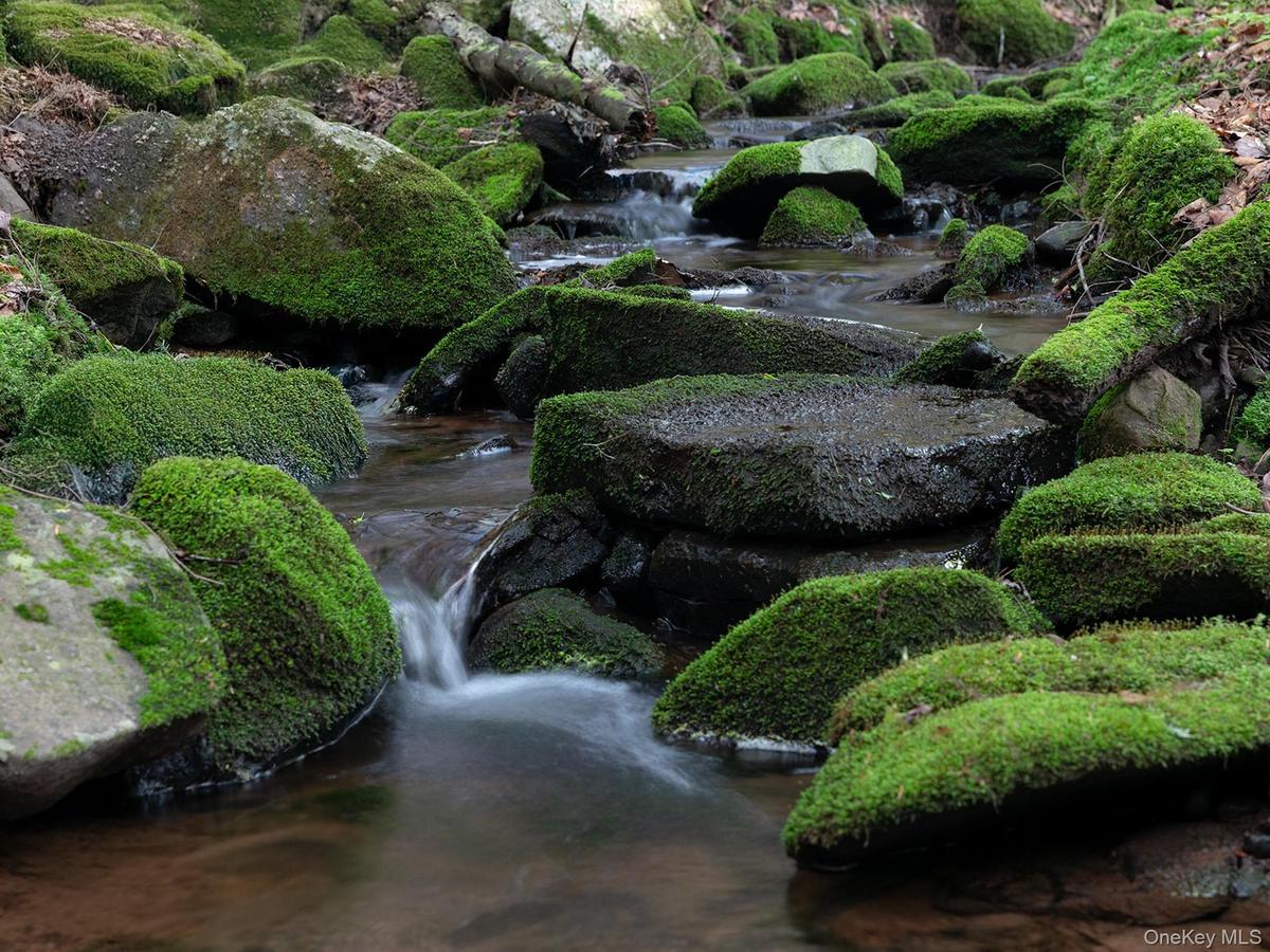 Stream Detail