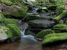 Stream Detail