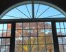fall foliage Detailed view