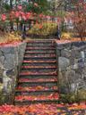 stairs to front lawn