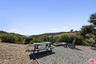 FIRE PIT - YARD
