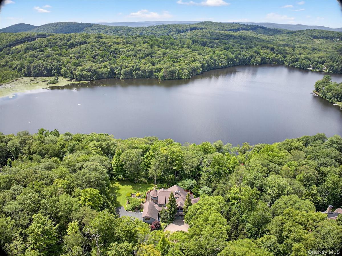 Drone / aerial view of a forest and a nearby body of water