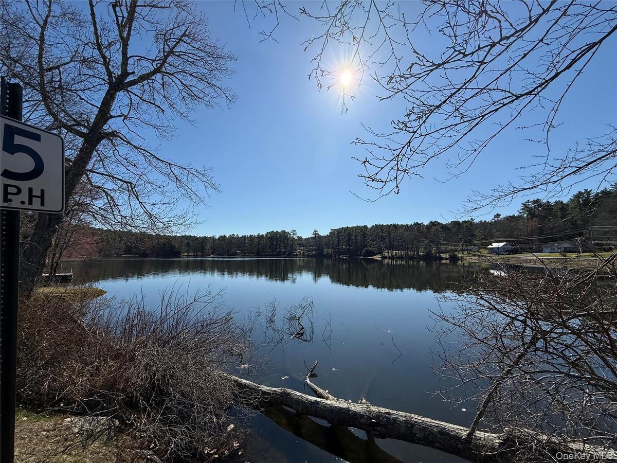 Bodine Lake