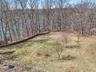Back Yard Fruit Trees