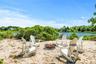 Harborview Association water access for kayaking and picnics