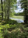 Land View w water beyond