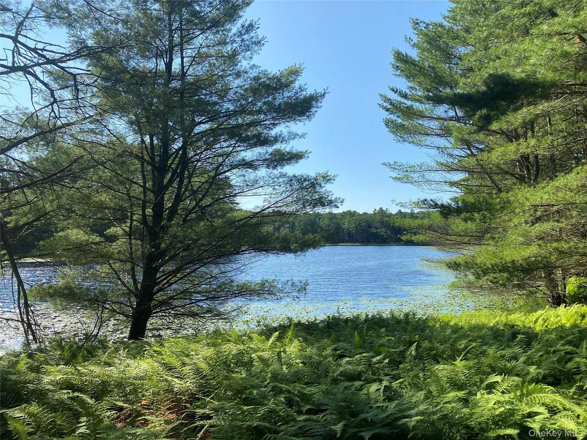 Water view with a wooded area