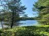 Water view with a wooded area