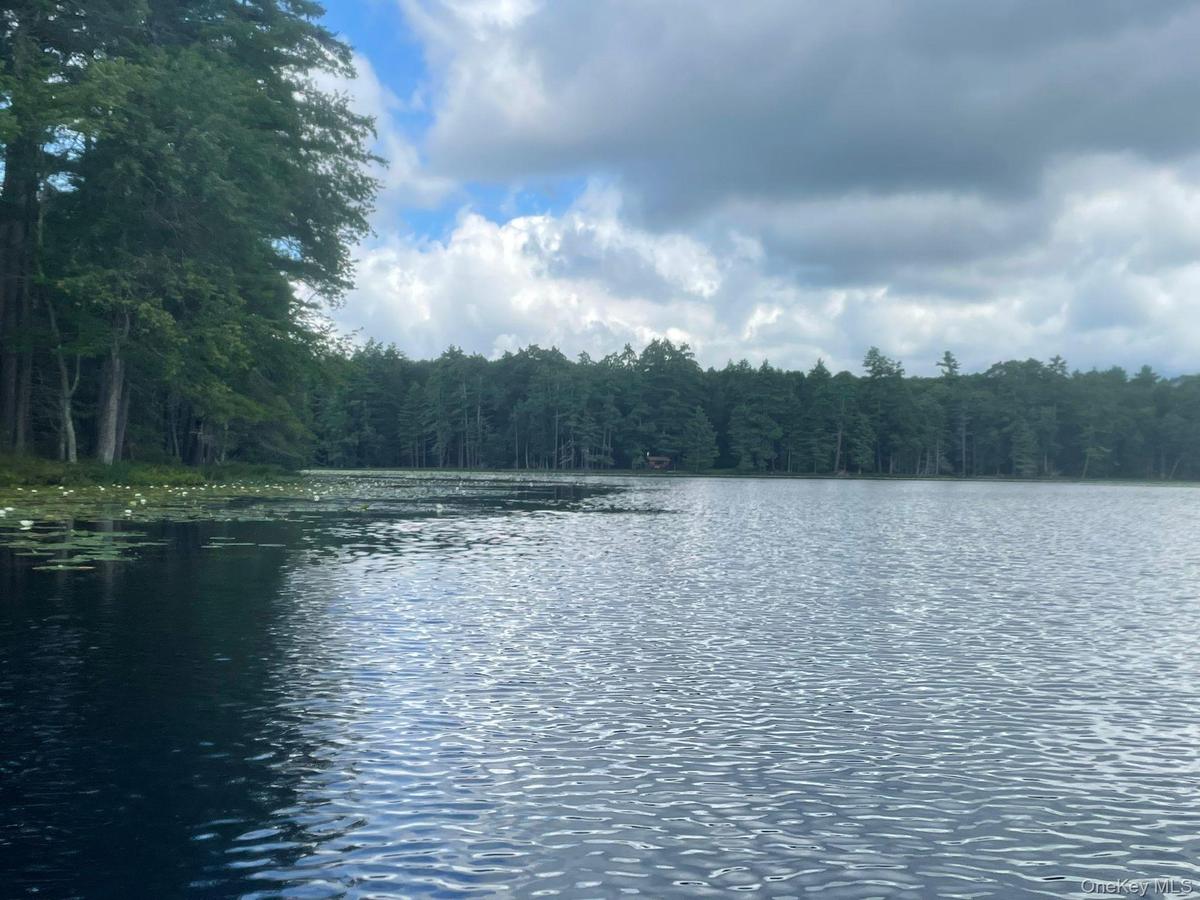 Water view featuring wooded area around the lake