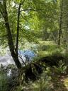 Along the water bank