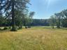 View of field featuring a view of trees
