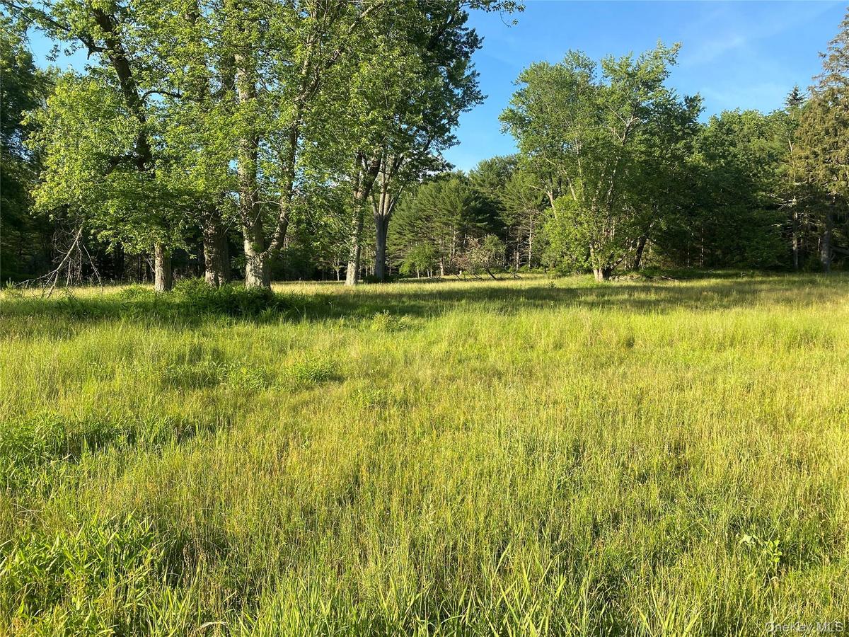 View of pasture and local wilderness