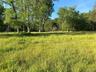 View of pasture and local wilderness