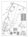 Survey Image