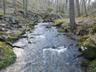 Stone Church Brook
