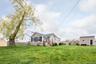 Expansive grassy yard featuring a prominent mature tree