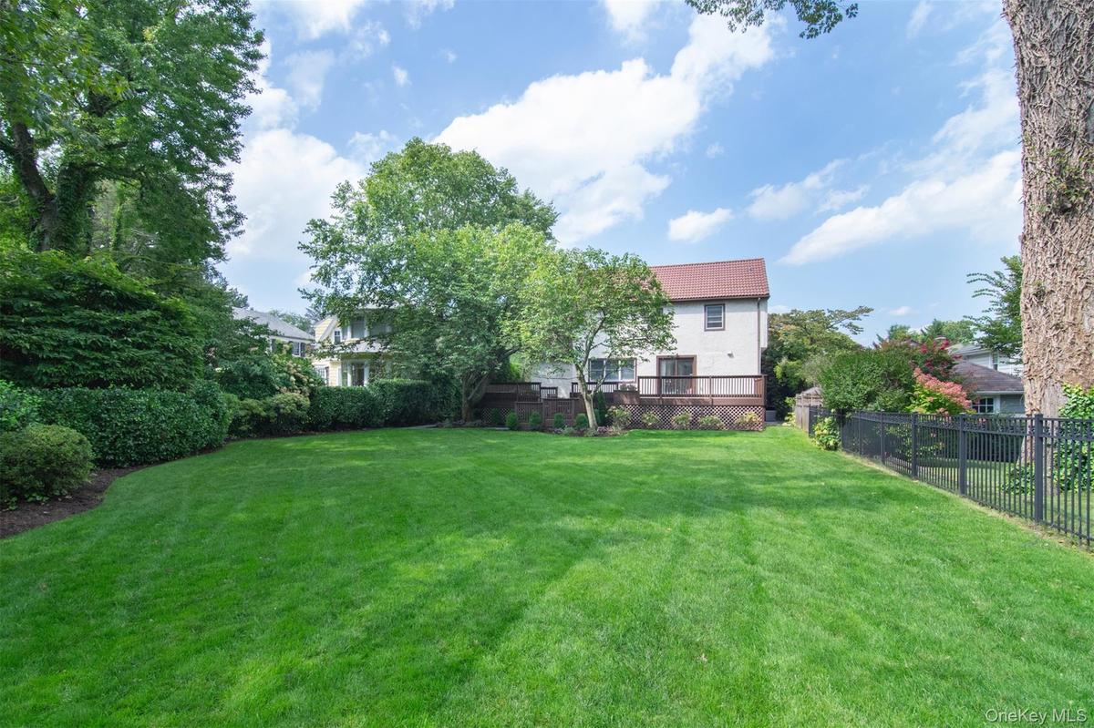View of grassy yard