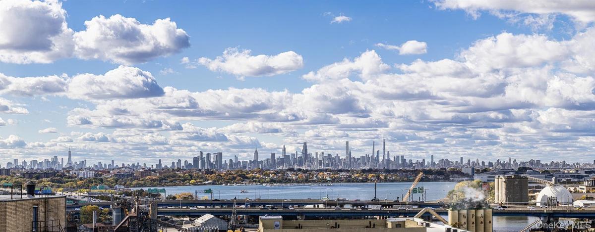View of city skyline featuring a notable bridge and a large body of water