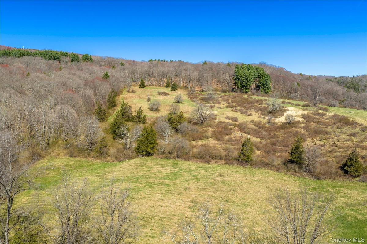 The land slopes gently to the north.