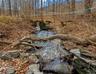 A gently meandering stream traces the western border.