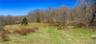 Northern tip of the cleared area prior to the woods.