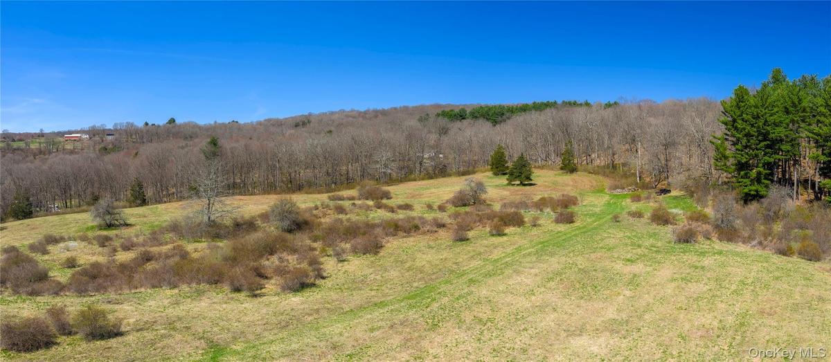 Used prior as a dairy farm, this exceptional offering presents a rare opportunity to bring your farming lifestyle dreams to life.