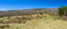 Used prior as a dairy farm, this exceptional offering presents a rare opportunity to bring your farming lifestyle dreams to life.