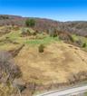 Southeast portion of the 88.46 acres. Frontage on Tinker Town Road.