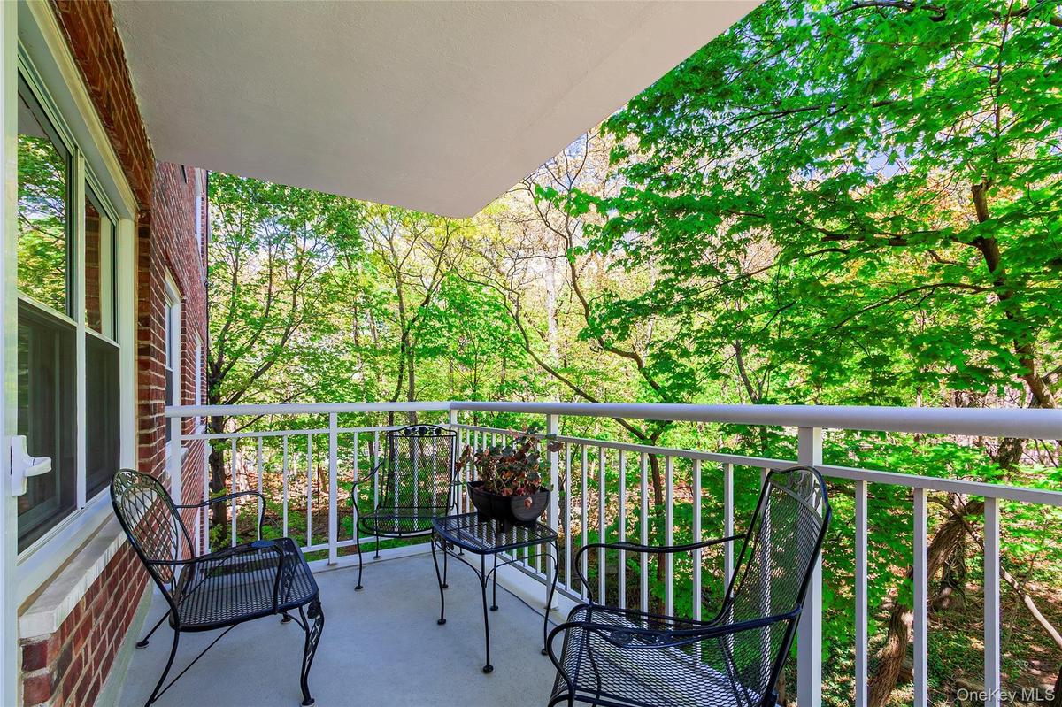 Wooded Views