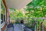Wooded Views