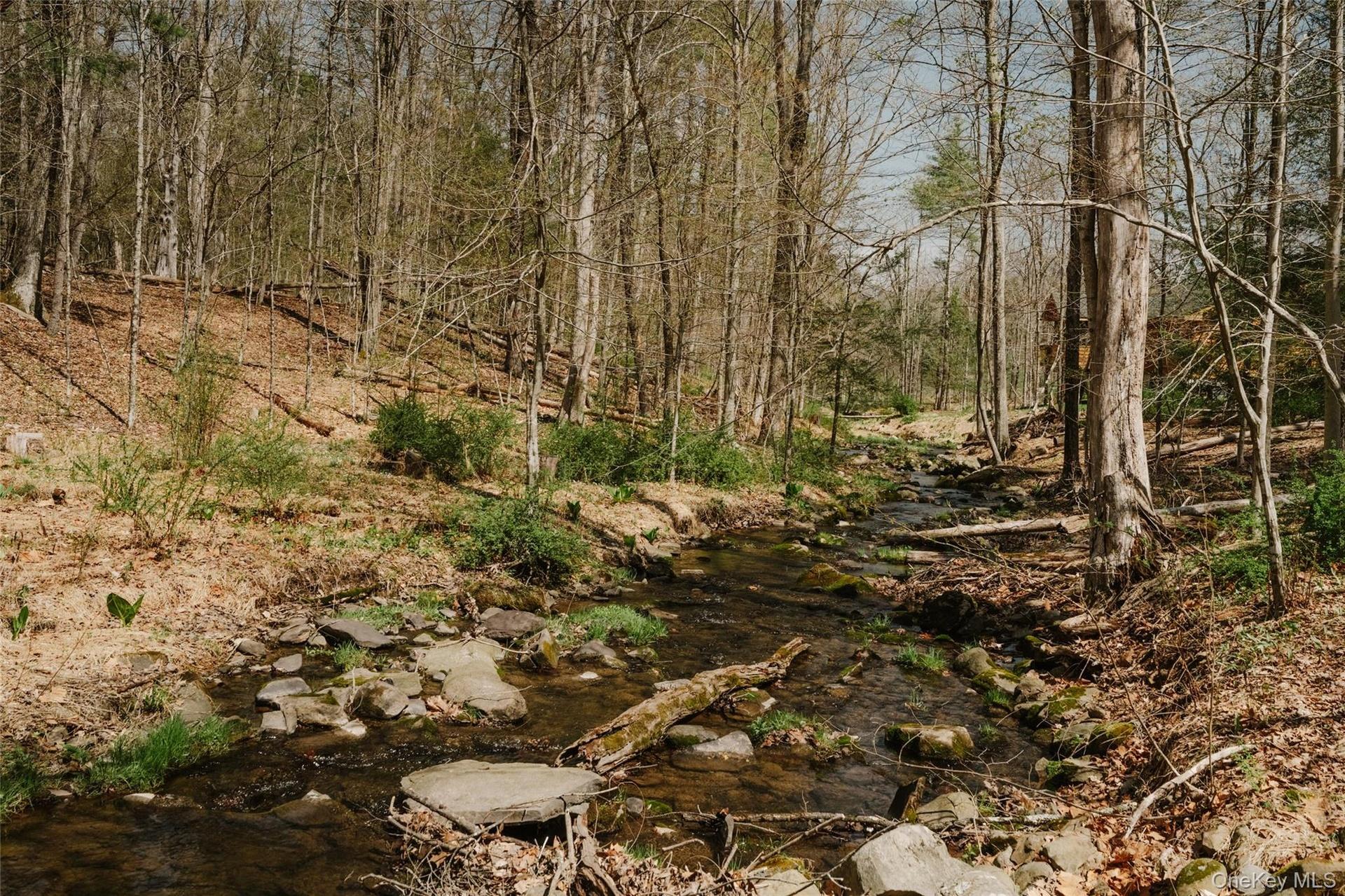 Creek on Property
