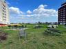 Great Lawn, BBQ's and Children's playground