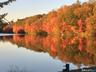 Pond