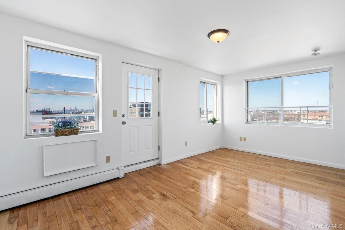 Foyer featuring a baseboard radiator, light hardwood / wood-style floors, and a healthy amount of sunlight