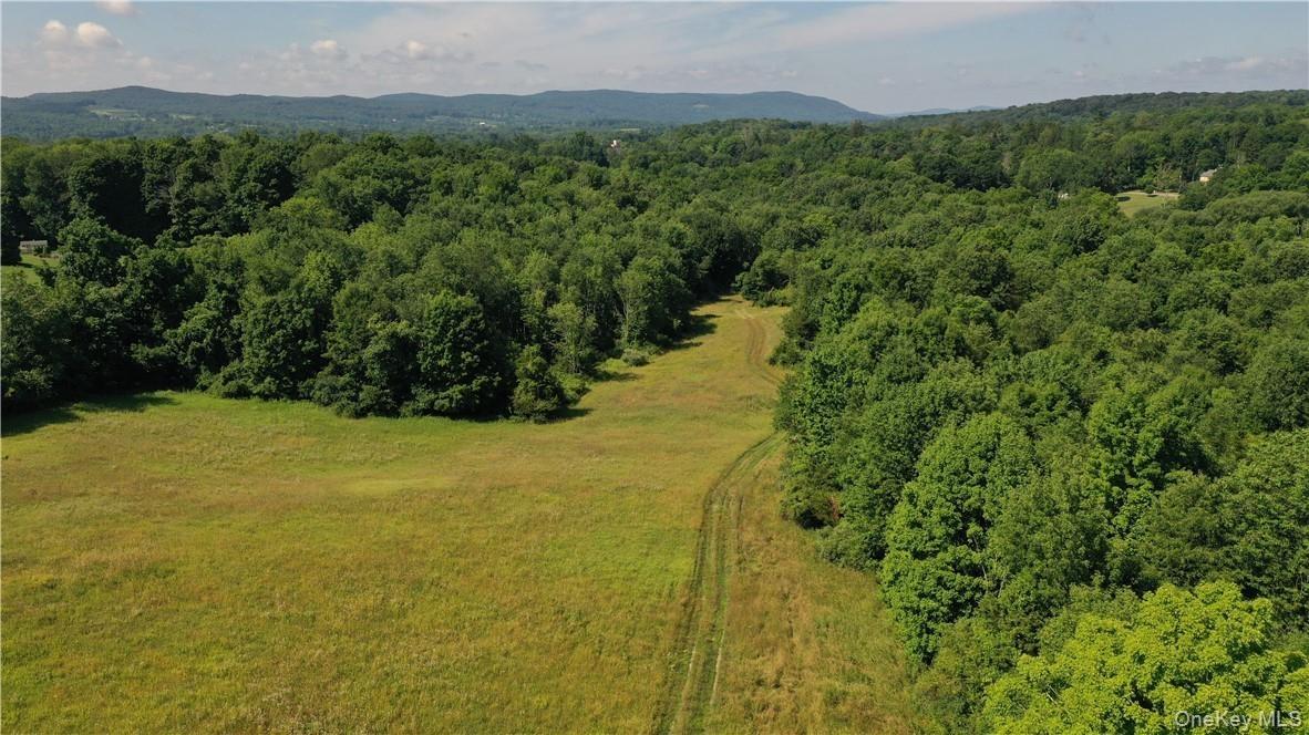 Enjoy the mix of woods and open pasture.
