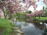 Taylor Park