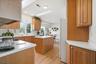 Skylight windows