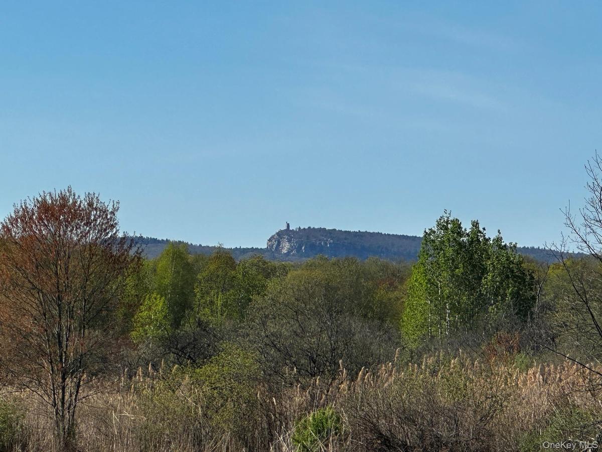 View of mountain background