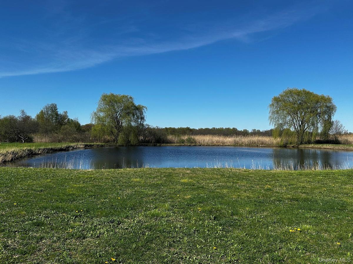 Water view