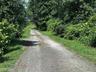 View of dirt / gravel road