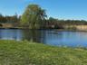 Water view featuring a heavily wooded area