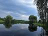 Water view featuring a forest
