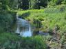 Water view with a heavily wooded area