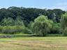 View of tree filled area featuring a water view