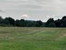View of woods with a view of rural / pastoral area