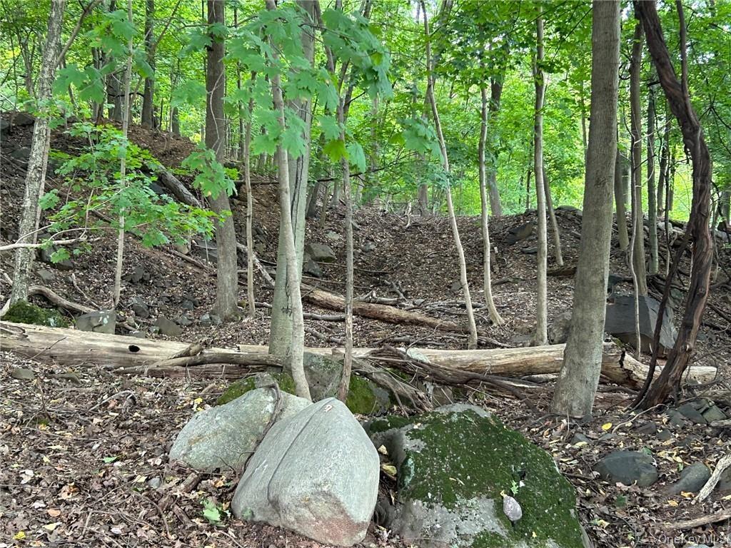 View of landscape