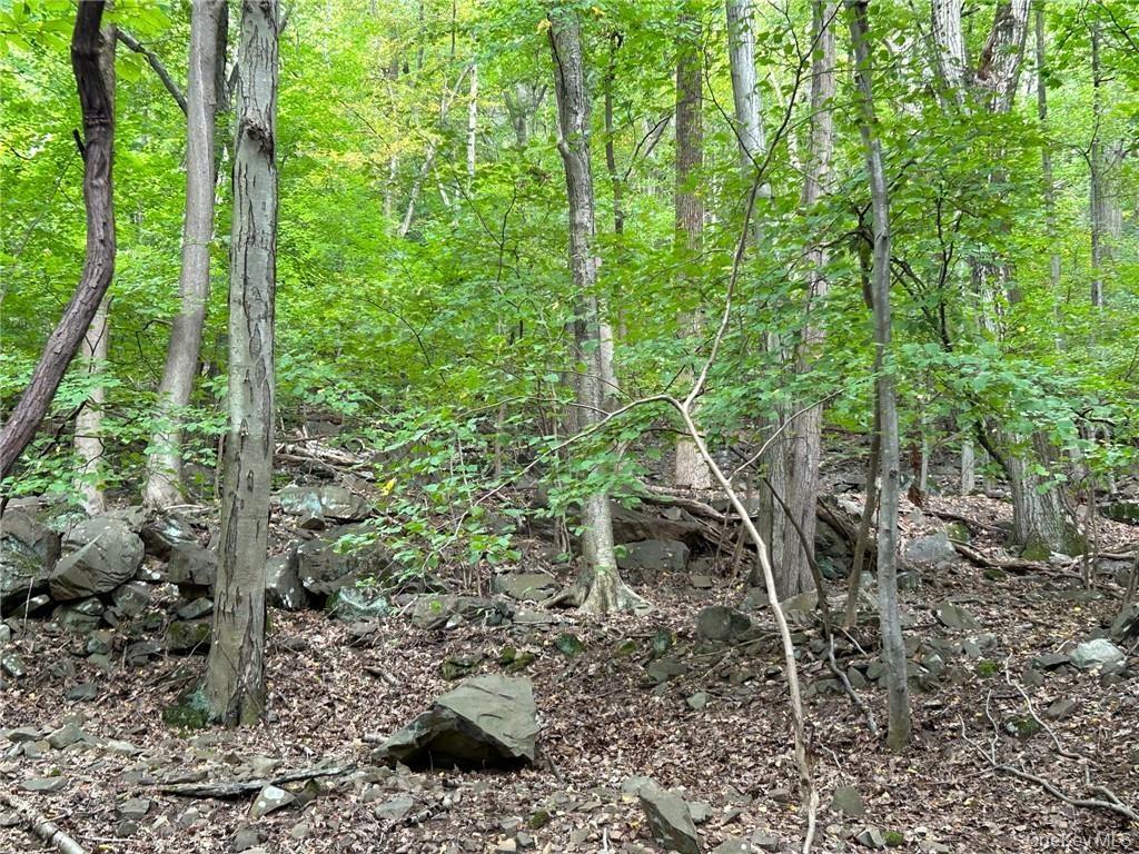View of landscape