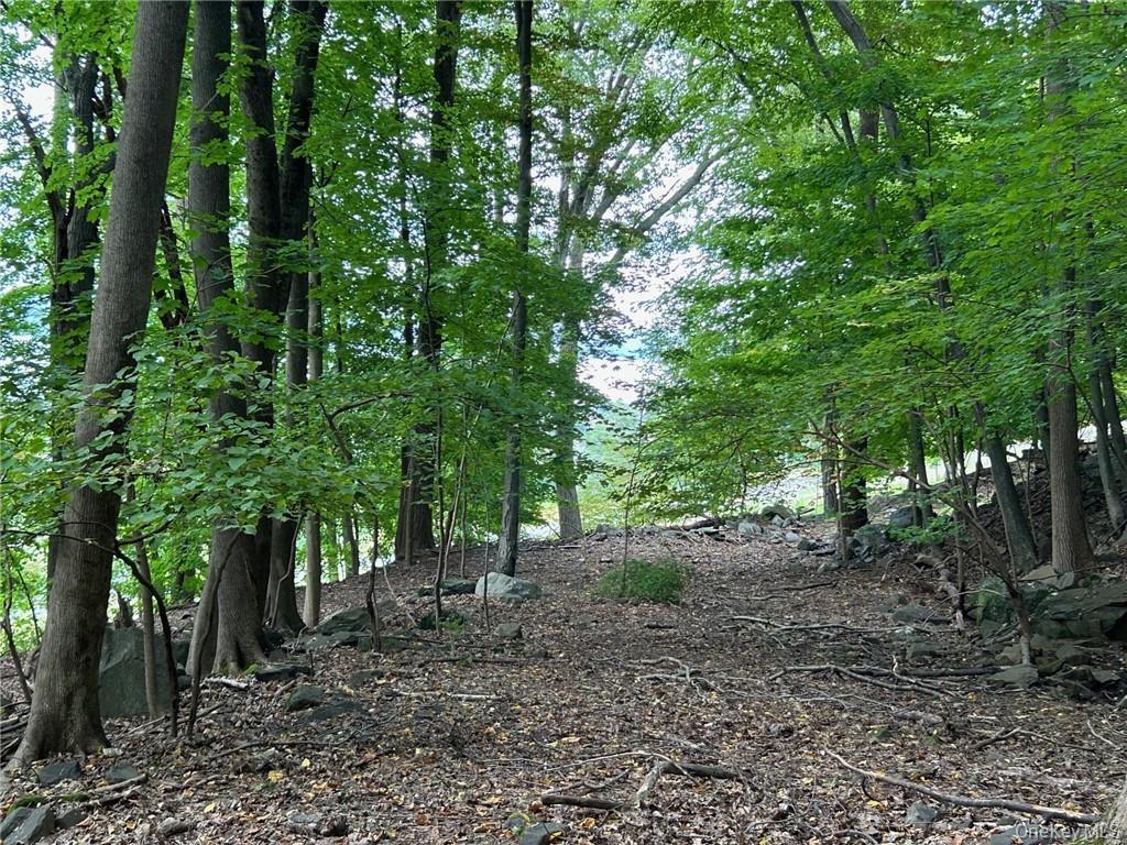 View of nature
